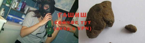 индика Рославль