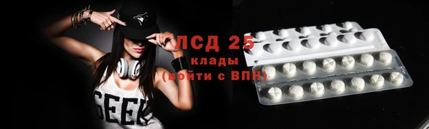 PSILOCYBIN Алексеевка