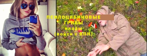 PSILOCYBIN Алексеевка