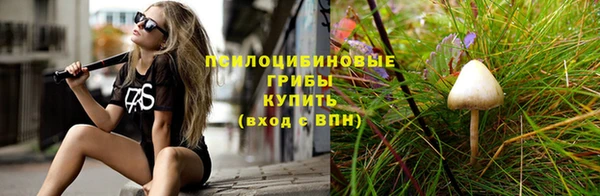а пвп мука Алзамай