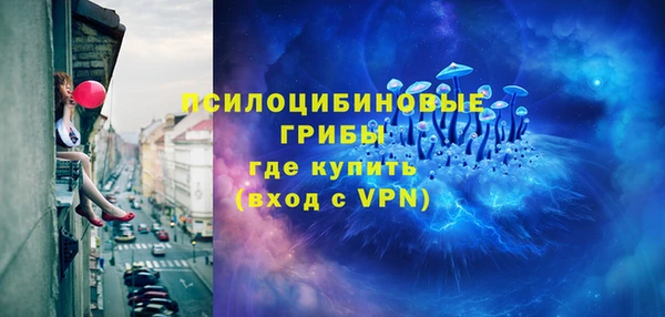 а пвп мука Алзамай
