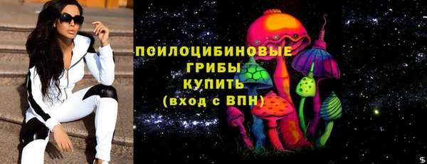 PSILOCYBIN Алексеевка