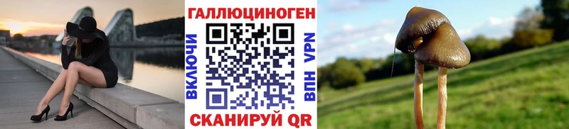 Псилоцибиновые грибы прущие грибы  Михайловск 