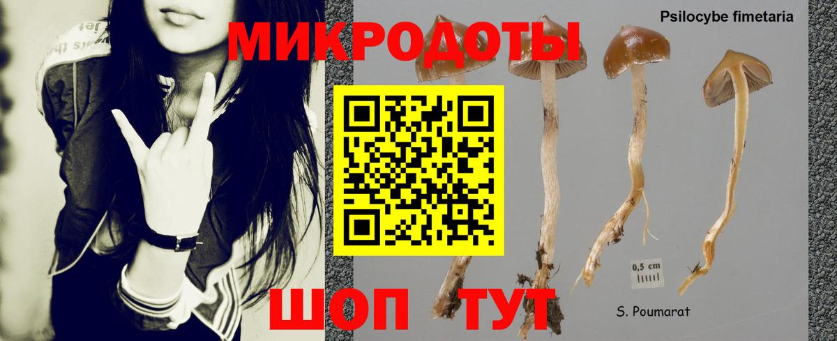 Псилоцибиновые грибы GOLDEN TEACHER Михайловск